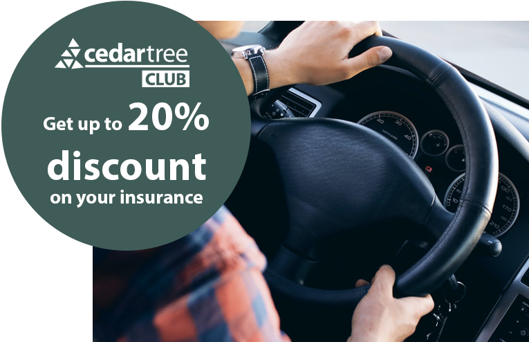 ntuc travel insurance car rental excess